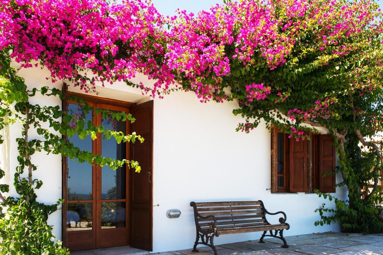Villa Celestina, Great For Privacy And Seclusion Chrisopigi  Exterior photo